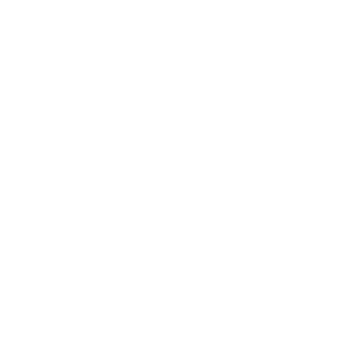 mrf logo vit